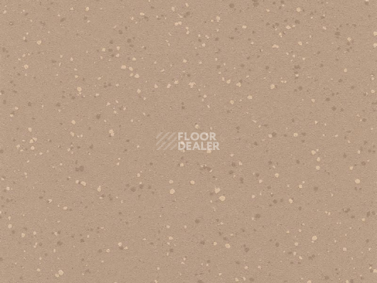 Линолеум Polyflor Polysafe Verona Pur 5213 Caramel Latte фото 1 | FLOORDEALER